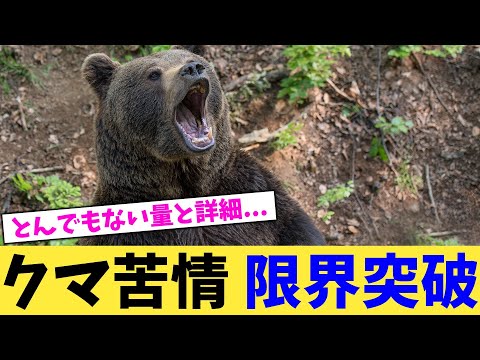 クマ苦情 限界突破【2chまとめ】【2chスレ】【5chスレ】