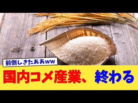 国内コメ産業、終わる【2chまとめ】【2chスレ】【5chスレ】