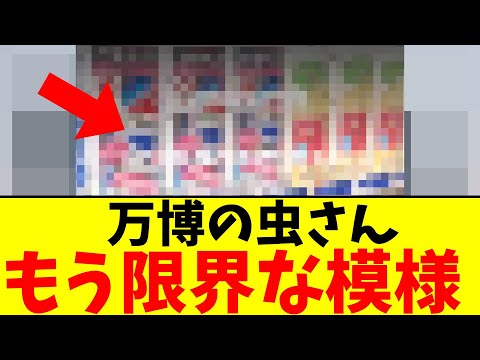 万博の虫さん…もう限界な模様【2chまとめ】【2chスレ】【5chスレ】