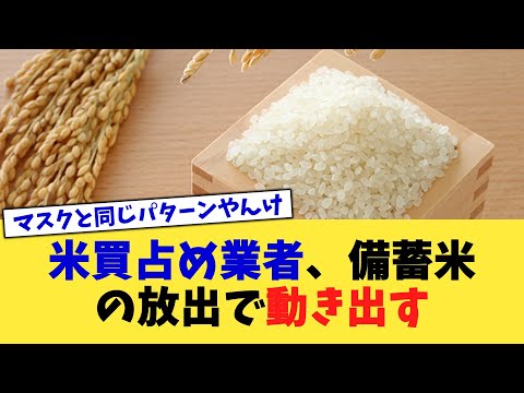 米買占め業者、備蓄米の放出で動き出す【2chまとめ】【2chスレ】【5chスレ】