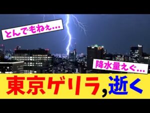 東京ゲリラ,逝く【2chまとめ】【2chスレ】【5chスレ】