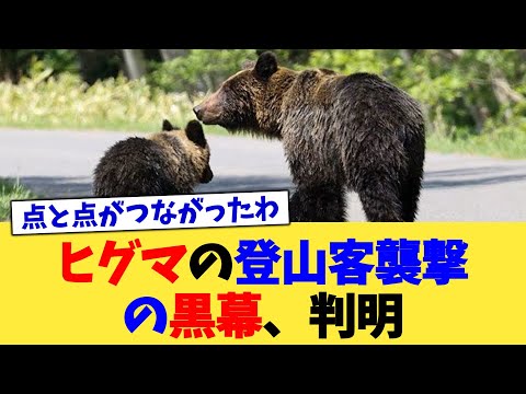 ヒグマの登山客襲撃の黒幕、判明【2chまとめ】【2chスレ】【5chスレ】