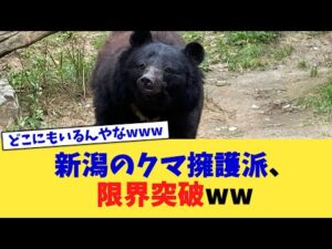 新潟のクマ擁護派、限界突破ww【2chまとめ】【2chスレ】【5chスレ】