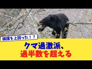 クマ過激派、過半数を超える【2chまとめ】【2chスレ】【5chスレ】