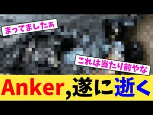 Anker,遂に逝く【2chまとめ】【2chスレ】【5chスレ】