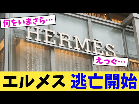 エルメス,逃亡開始【2chまとめ】【2chスレ】【5chスレ】