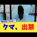 クマ、出禁【2chまとめ】【2chスレ】【5chスレ】