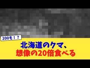 北海道のクマ、想像の20倍食べる【2chまとめ】【2chスレ】【5chスレ】