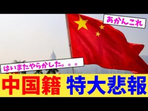 中国籍 特大悲報【2chまとめ】【2chスレ】【5chスレ】