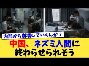 中国、ネズミ人間に終わらせられそう【2chまとめ】【2chスレ】【5chスレ】