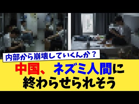 中国、ネズミ人間に終わらせられそう【2chまとめ】【2chスレ】【5chスレ】