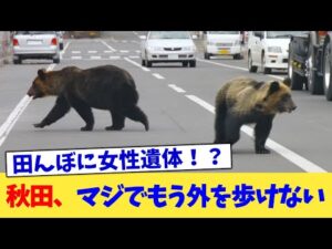 秋田、マジでもう外を歩けない【2chまとめ】【2chスレ】【5chスレ】