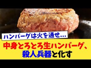 中身とろとろ生ハンバーグ、殺人兵器と化す【2chまとめ】【2chスレ】【5chスレ】