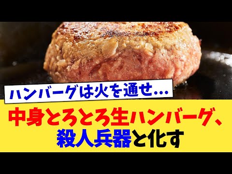 中身とろとろ生ハンバーグ、殺人兵器と化す【2chまとめ】【2chスレ】【5chスレ】