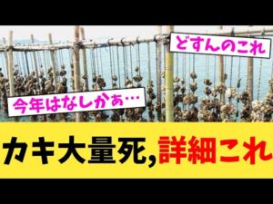 カキ大量死,詳細これ【2chまとめ】【2chスレ】【5chスレ】