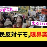 移民反対デモ,限界突破【2chまとめ】【2chスレ】【5chスレ】