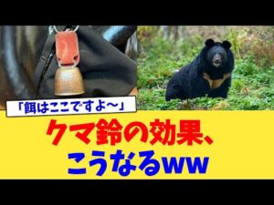 クマ鈴の効果、こうなるww【2chまとめ】【2chスレ】【5chスレ】
