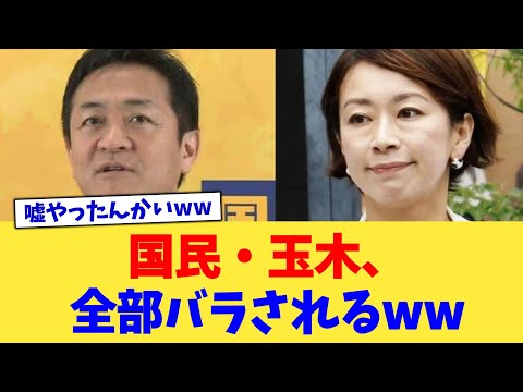 国民・玉木、全部バラされるww【2chまとめ】【2chスレ】【5chスレ】