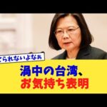 渦中の台湾、お気持ち表明【2chまとめ】【2chスレ】【5chスレ】