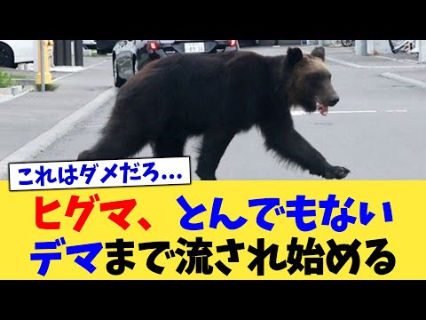 ヒグマ、とんでもないデマまで流され始める【2chまとめ】【2chスレ】【5chスレ】