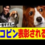 デコピンが表彰されるwww【2chまとめ】【2chスレ】【5chスレ】