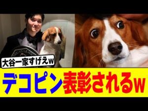 デコピンが表彰されるwww【2chまとめ】【2chスレ】【5chスレ】