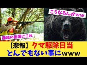 【悲報】クマ駆除日当とんでもない事にwww【2chまとめ】【2chスレ】【5chスレ】