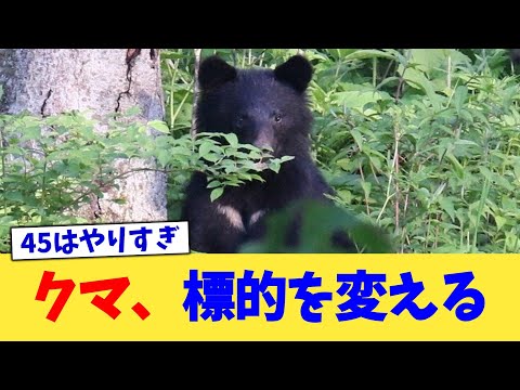 クマ、標的を変える【2chまとめ】【2chスレ】【5chスレ】