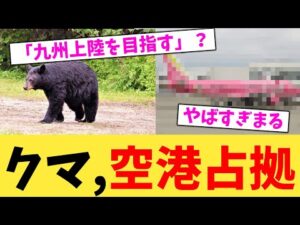 クマ,空港占拠【2chまとめ】【2chスレ】【5chスレ】