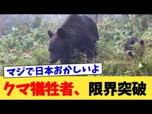 クマ犠牲者、限界突破【2chまとめ】【2chスレ】【5chスレ】