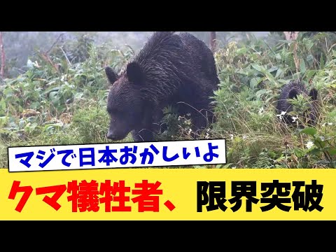 クマ犠牲者、限界突破【2chまとめ】【2chスレ】【5chスレ】