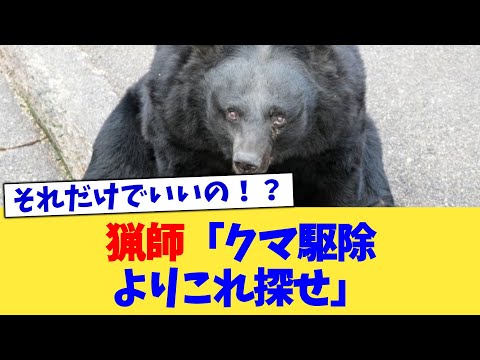 猟師「クマ駆除よりこれ探せ」【2chまとめ】【2chスレ】【5chスレ】