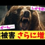 熊被害 さらに増加【2chまとめ】【2chスレ】【5chスレ】
