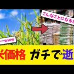 米価格 ガチで逝く【2chまとめ】【2chスレ】【5chスレ】