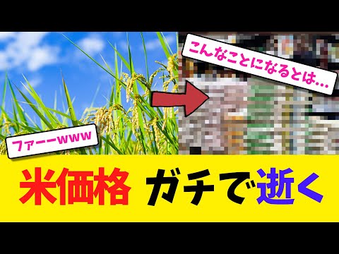 米価格 ガチで逝く【2chまとめ】【2chスレ】【5chスレ】