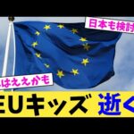 EUキッズ 逝く【2chまとめ】【2chスレ】【5chスレ】