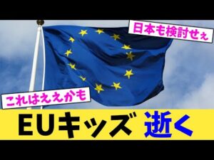 EUキッズ 逝く【2chまとめ】【2chスレ】【5chスレ】