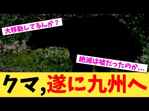 クマ,遂に九州へ【2chまとめ】【2chスレ】【5chスレ】