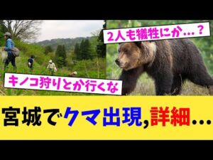 宮城でクマ出現,詳細...【2chまとめ】【2chスレ】【5chスレ】