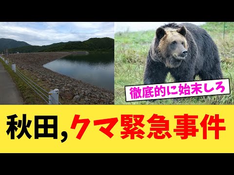 秋田,クマ緊急事件【2chまとめ】【2chスレ】【5chスレ】