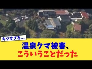 温泉クマ被害、こういうことだった【2chまとめ】【2chスレ】【5chスレ】