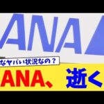 ANA、逝く【2chまとめ】【2chスレ】【5chスレ】