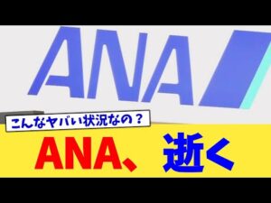 ANA、逝く【2chまとめ】【2chスレ】【5chスレ】