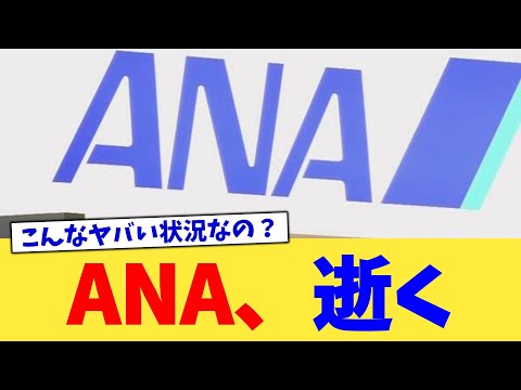 ANA、逝く【2chまとめ】【2chスレ】【5chスレ】