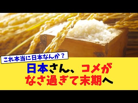 日本さん、コメがなさ過ぎて末期へ【2chまとめ】【2chスレ】【5chスレ】