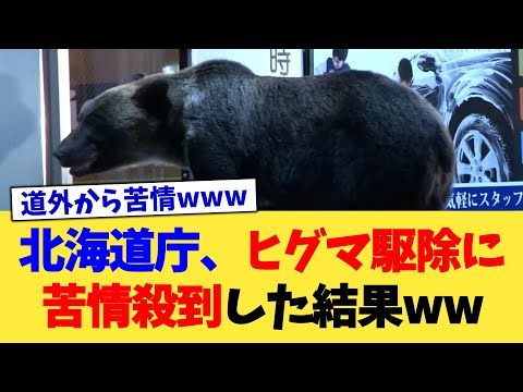 北海道庁、ヒグマ駆除に苦情殺到した結果ww【2chまとめ】【2chスレ】【5chスレ】