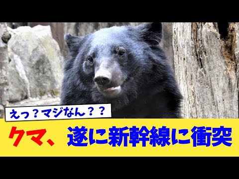 クマ、遂に新幹線に衝突【2chまとめ】【2chスレ】【5chスレ】
