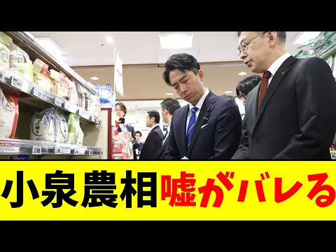 小泉農相…嘘がバレる【2chまとめ】【2chスレ】【5chスレ】