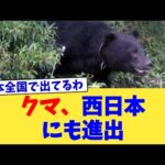 クマ、西日本にも進出【2chまとめ】【2chスレ】【5chスレ】