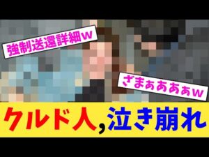 クルド人,泣き崩れ【2chまとめ】【2chスレ】【5chスレ】